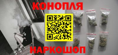 сатива Лесосибирск